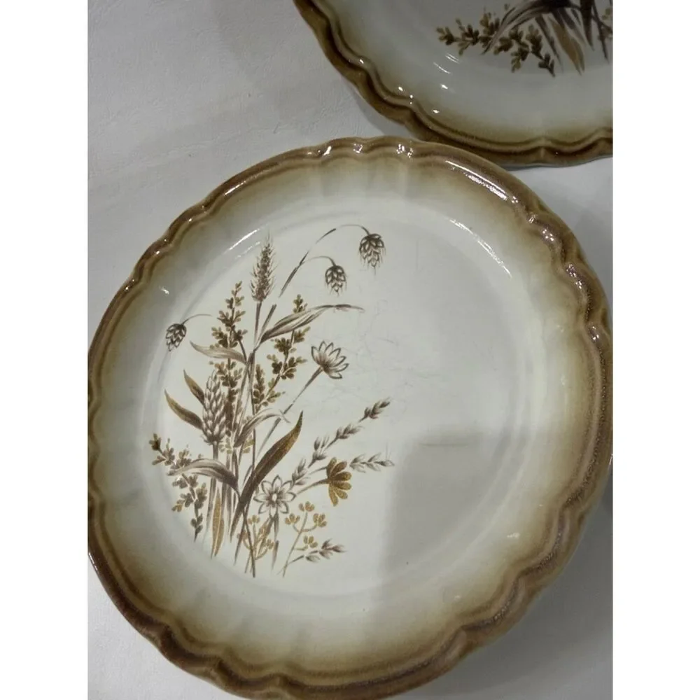 Mikasa Manor House Autumn Breeze Cream Brown Floral Scalloped 2 Dessert Plates